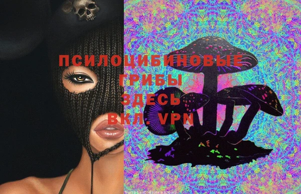 спиды Арсеньев