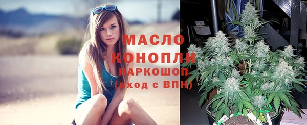 крисы Михайловск