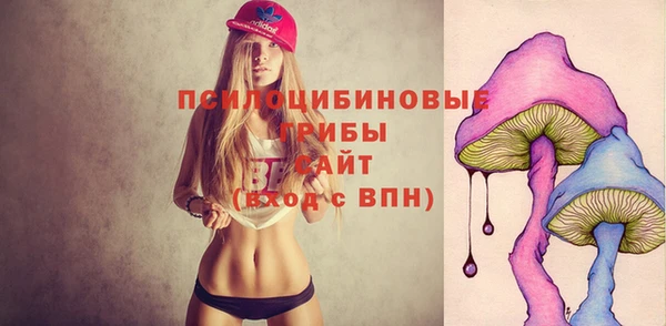 трава Армянск