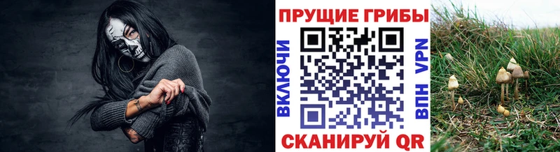 Галлюциногенные грибы GOLDEN TEACHER Купить Арамиль